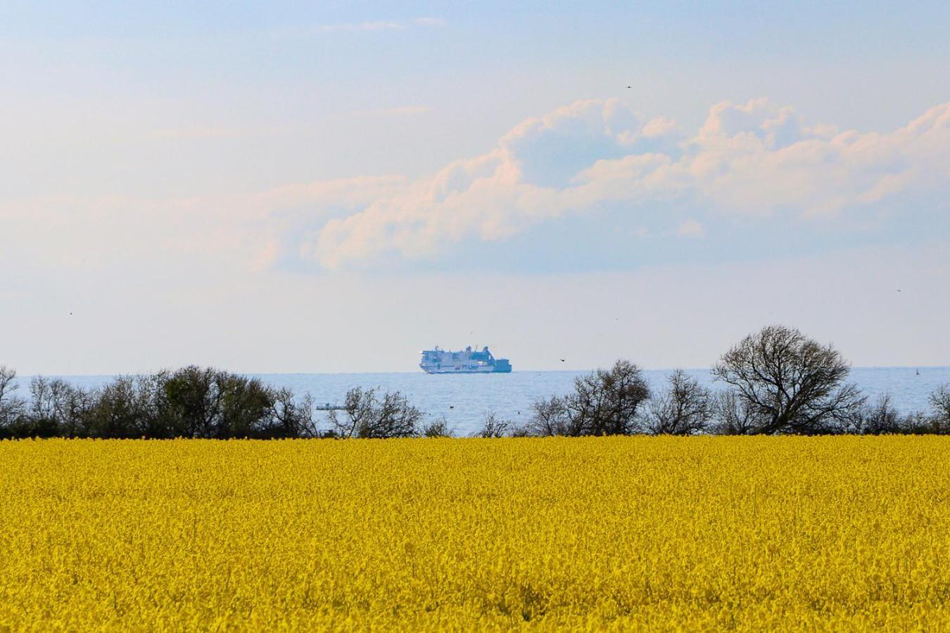 Meerblick Ostseebad Nienhagen Bagian luar foto